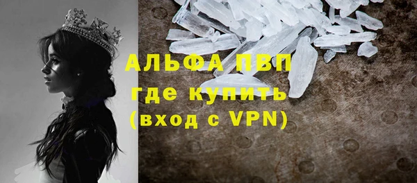 сатива Абинск