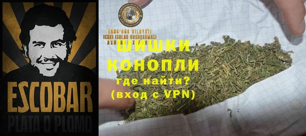 сатива Абинск